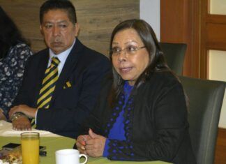 Magistrada Rosalba Guerrero buscará presidencia del TSJCDMX