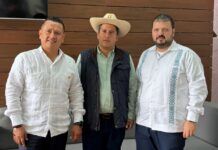 Poder Público / Michoacán, estado sin ley