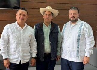 Poder Público / Michoacán, estado sin ley