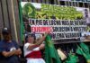 Yo Campesino / Insurrección