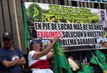 Yo Campesino / Insurrección