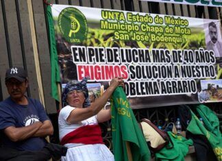 Yo Campesino / Insurrección