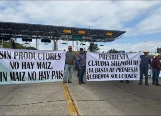 Campesinos convocan, ¡Revuelta nacional!