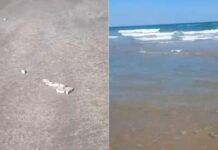 Hallan basura espacial en Playa Bagdad, Tamaulipas