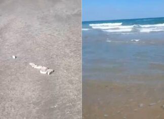 Hallan basura espacial en Playa Bagdad, Tamaulipas