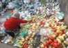¡Criminal!, desperdicio de alimentos