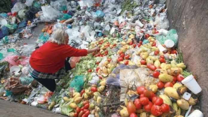 imagen desperdicio de alimentos