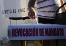 Yo Campesino / ¿Y la revocación?