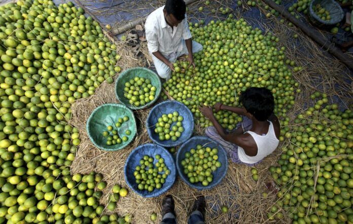 Gobierno del mexicano Michoacán confirma paro de entre 70 y 80 % de empacadoras de limón