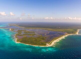 Arrecifes de coral se extinguirán si no se revierte el calentamiento global