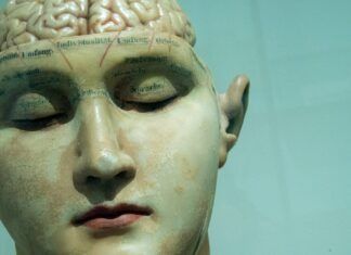 Científicos revierten el alzhéimer mediante nanopartículas