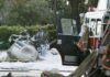 Dos muertos tras caer un avión en Florida