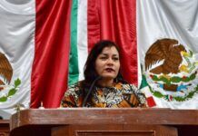 Diputada Elizabeth Mateos plantea “Transporte Violeta”