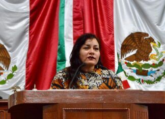 Diputada Elizabeth Mateos plantea “Transporte Violeta”
