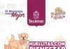Arranca en Tecámac Este Sábado “Huellitas con Bienestar”; Darán Atención Gratuita para Perros y Gatos