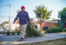 Rehabilitan camellón de Antonio Valeriano en Azcapotzalco