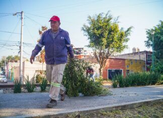 Rehabilitan camellón de Antonio Valeriano en Azcapotzalco