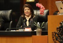 Llama la Senadora Mariela Gutiérrez a Defender la Autonomía de los Municipios