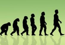 El Rincón Geek / La herencia incómoda de la violencia humana