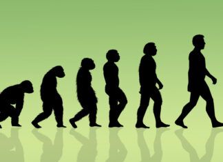 El Rincón Geek / La herencia incómoda de la violencia humana