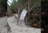 Clausuran zona en Sisal, Yucatán por daño ecológico