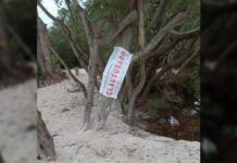 Clausuran zona en Sisal, Yucatán por daño ecológico