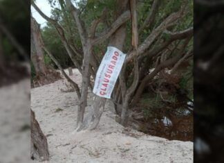 Clausuran zona en Sisal, Yucatán por daño ecológico