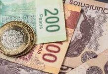 Yo Campesino / ¿México en la lona?