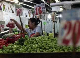 Inegi reveló que inflación general anual disminuyó durante octubre