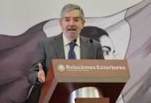 Juan Ramón de la Fuente participará en reunión de Ministros de Relaciones Exteriores del G7