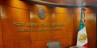 TEXTUAL-es / Falla de origen: Poder Judicial
