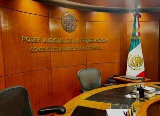 TEXTUAL-es / Falla de origen: Poder Judicial