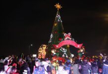 Enciende Alcaldesa de Tecámac Luces de Mega Árboles de Navidad