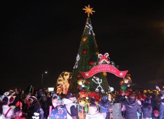 Enciende Alcaldesa de Tecámac Luces de Mega Árboles de Navidad
