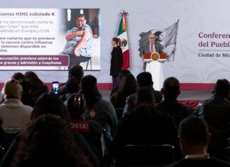 Influenza A H3N2 no representa riesgo para México: SSA