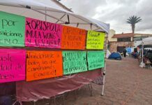 Trabajadores Despedidos de Tecámac Piden la Intervención de la Gobernadora Delfina