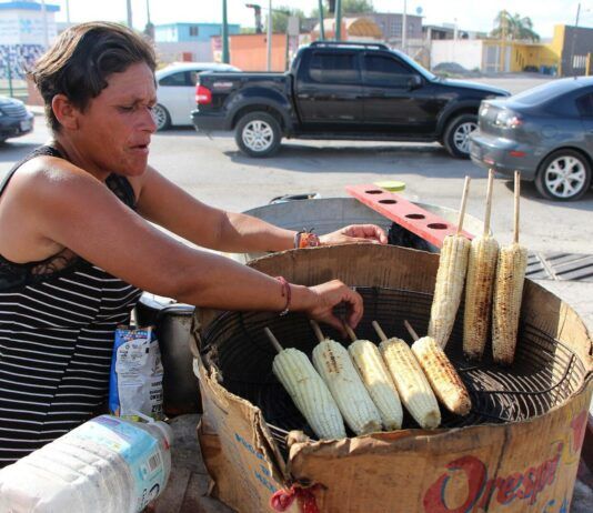 Yo Campesino / Cifras criticas