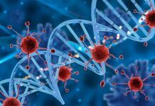 Desarrollan una nueva terapia para la leucemia linfoblástica aguda de células T