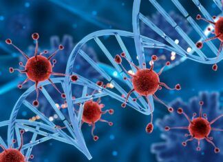 Desarrollan una nueva terapia para la leucemia linfoblástica aguda de células T