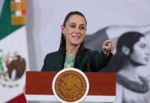 Yo Campesino / Hasta la ignominia
