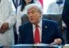 En dos semanas se sabrá si Dinamarca está contenta con plan de Groenlandia: Trump