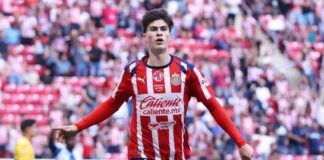 Juego Primario / Halcón / Hormiga / Pelado