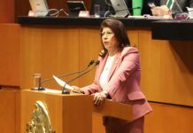Busca la Senadora Mariela Gutiérrez Impulsar la Comercialización de Aguacate Mexiquense a EU