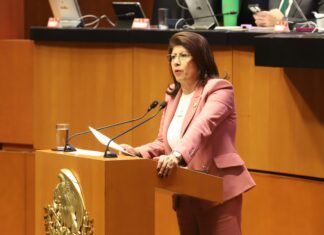 Busca la Senadora Mariela Gutiérrez Impulsar la Comercialización de Aguacate Mexiquense a EU