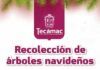 Gobierno de la alcaldesa Rosi Wong refrenda su compromiso con el medio ambiente mediante la recolección y reciclaje de árboles naturales de navidad