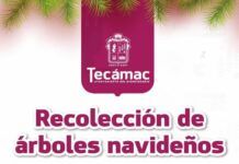 Gobierno de la alcaldesa Rosi Wong refrenda su compromiso con el medio ambiente mediante la recolección y reciclaje de árboles naturales de navidad