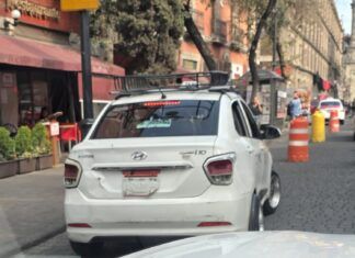 Propondrá la Senadora Mariela Gutiérrez Mayores Sanciones por Alterar e Invisibilizar Placas Vehiculares
