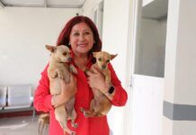 Con respaldo estatal, la alcaldesa Rosi Wong impulsa estrategia a favor del Bienestar Animal en Tecámac