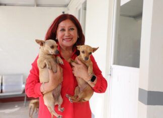 Con respaldo estatal, la alcaldesa Rosi Wong impulsa estrategia a favor del Bienestar Animal en Tecámac