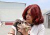 Alcaldesa Rosi Wong impulsa una politica de respeto y bienestar para los sintientes en Tecámac